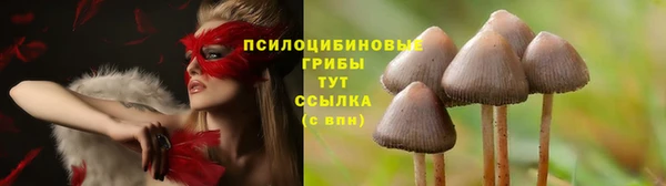 скорость Абинск