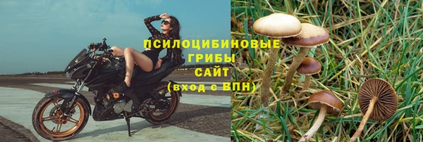 герыч Покровск